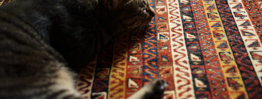 Useful Tips on Choosing the Right Carpet