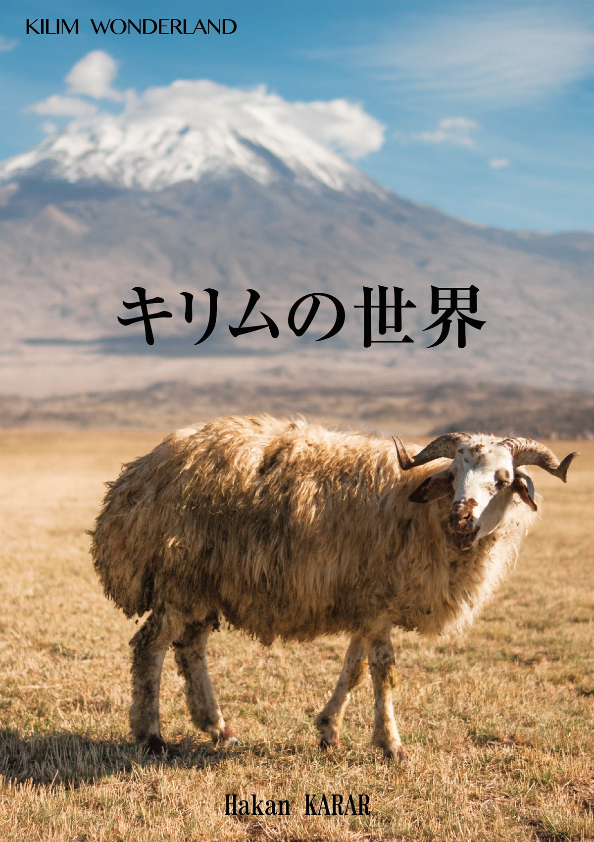 杂志封面